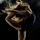 dancer